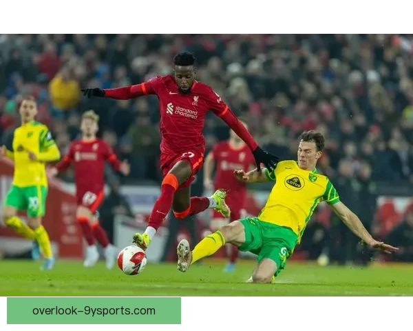 围绕诺维奇俱乐部兴衰与英伦足球文化传承探析历史变迁与未来展望研究 围绕诺维奇俱乐部兴衰与英伦足球文化传承探析历史变迁与未来展望研究