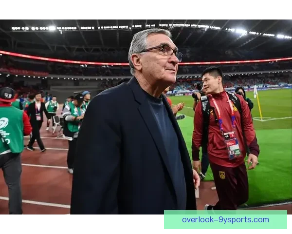 世界杯赛场风云再起，中国球员表现引发球迷热烈讨论