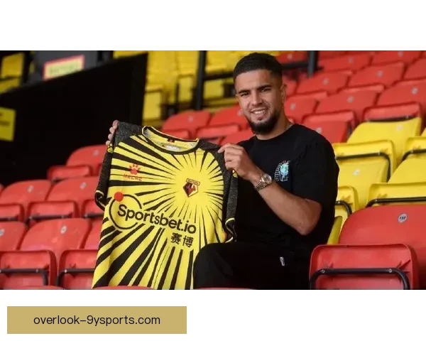 南特俱乐部宣布新赛季阵容调整与球员转会动态更新